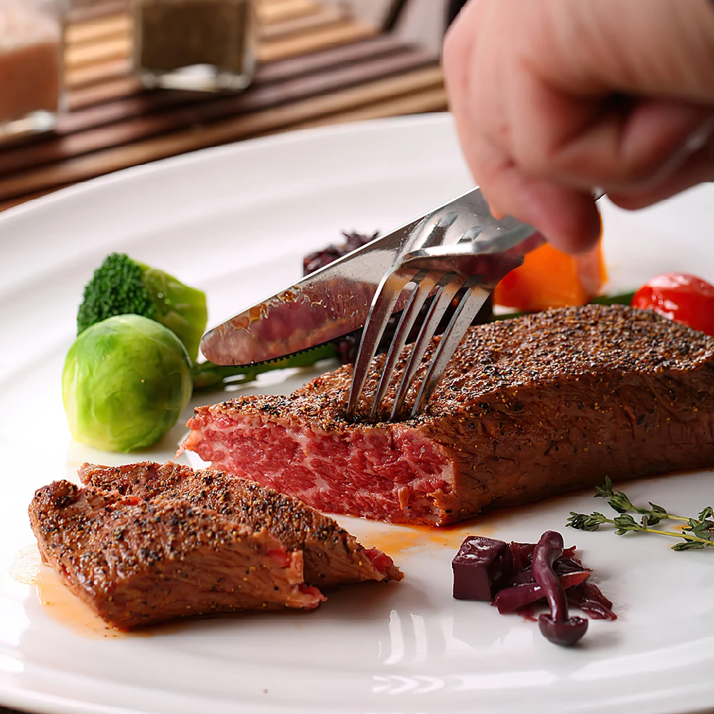 AOOSY Metal Kitchen Cutlery Sets Contemporary Flatware Sets Stainless Steel Knife, Fork and Spoon Silverware Utensils