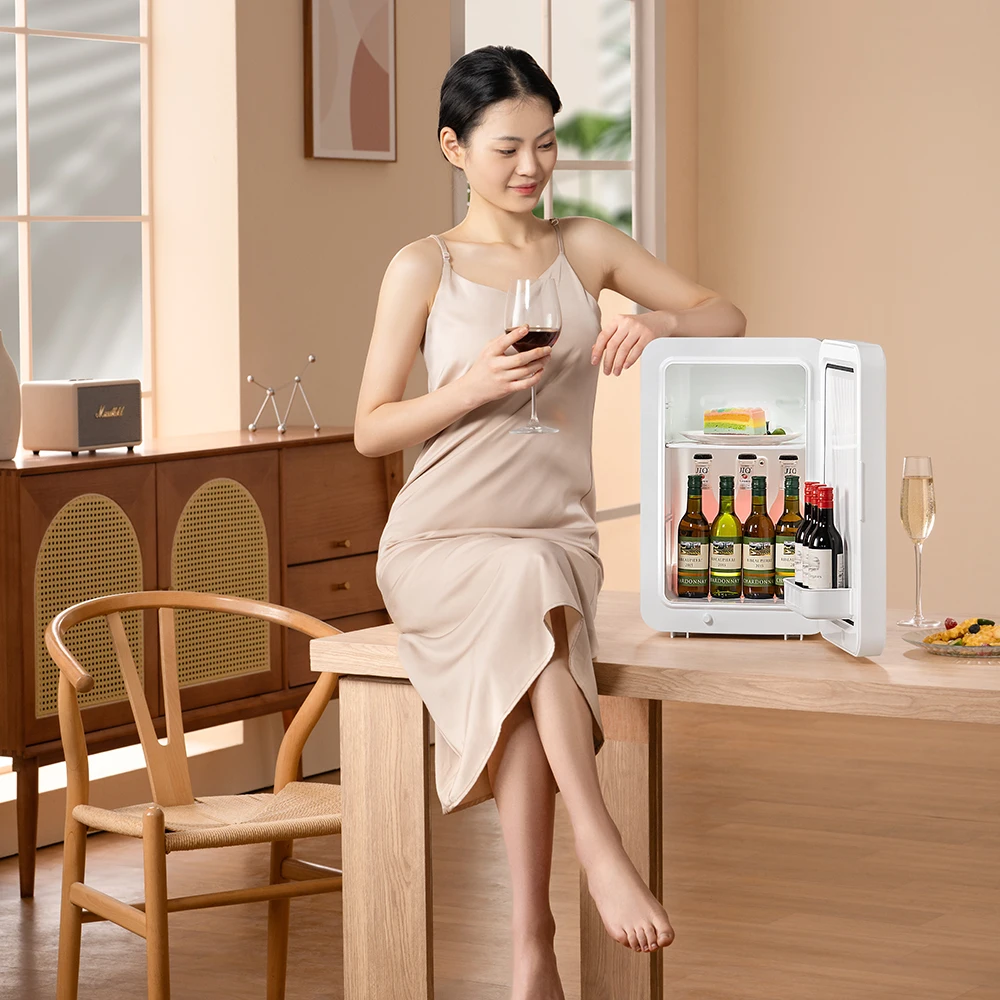 2024 New 16L Mini Fridge Cold and Hot Storage for Masks Skin Care Car Makeup Beauty Home Office & Cosmetic Camping