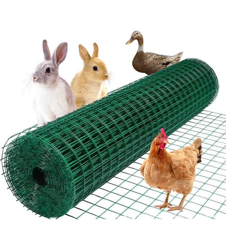 XG PVC & Galvanized Welded Wire Mesh Roll Metal Frame for Farm Nature Sports Pressure Treatment and Farms