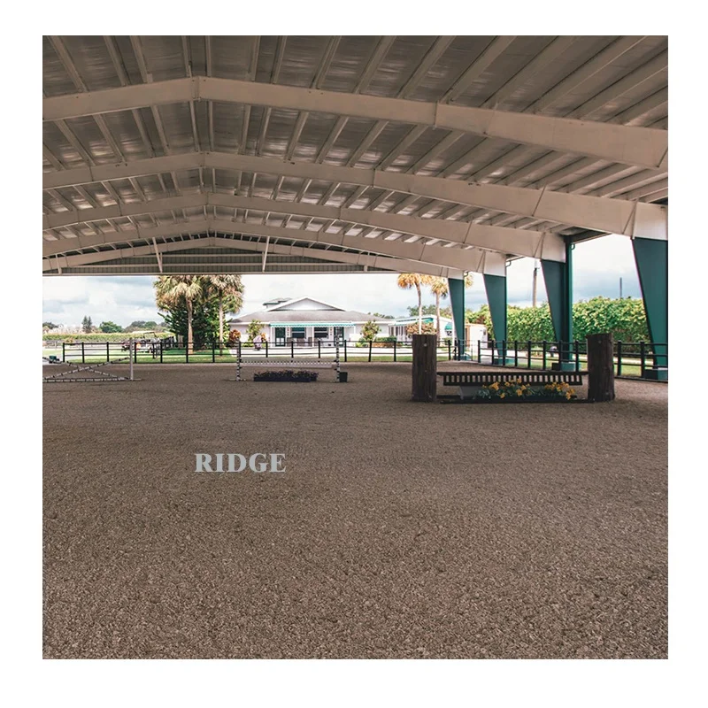 Best Circular Complete Steel Frames Structure Flat Gas Station Roof Design Construction Building with Steel House