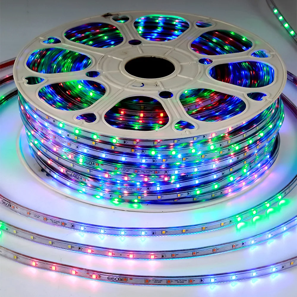 OEM ODM 220V 12V Decoration Led Smd 5050 2835 COB WW Rgb Remote Control Waterproof Led Strip Lights IP65 led band ruban light