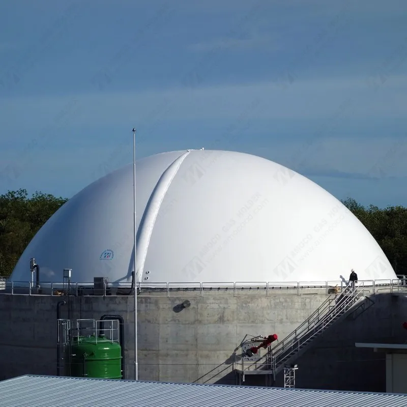 Automatic Control Membrane biogas gasholder balloon for biogas plant