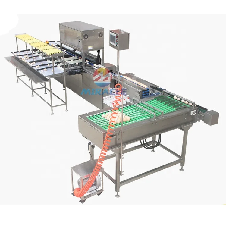 Commercial Customized Egg Grading And Packing Machine