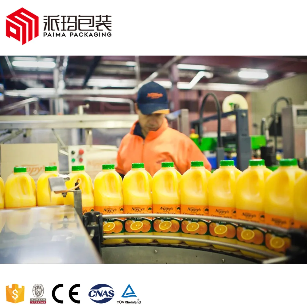 PET or Glass Bottle juice filling machine de production de jus de fruit