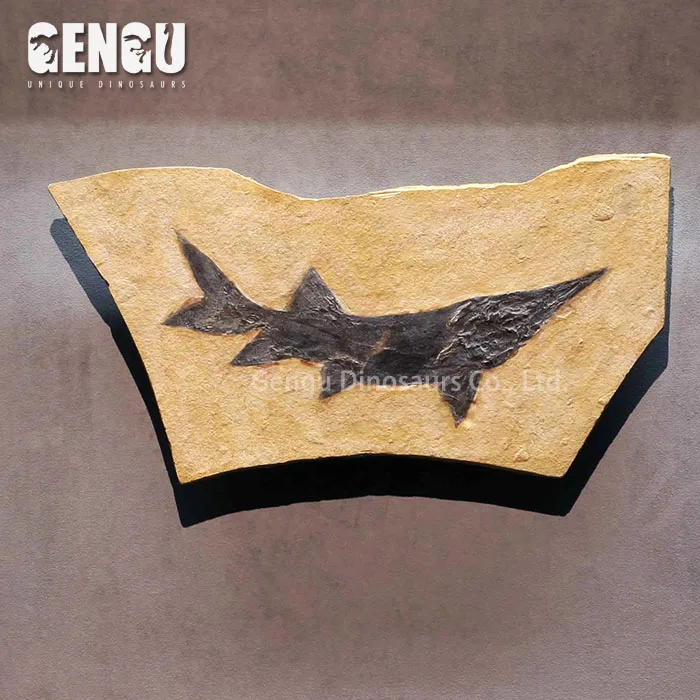 fiberglass fish fossils replicas