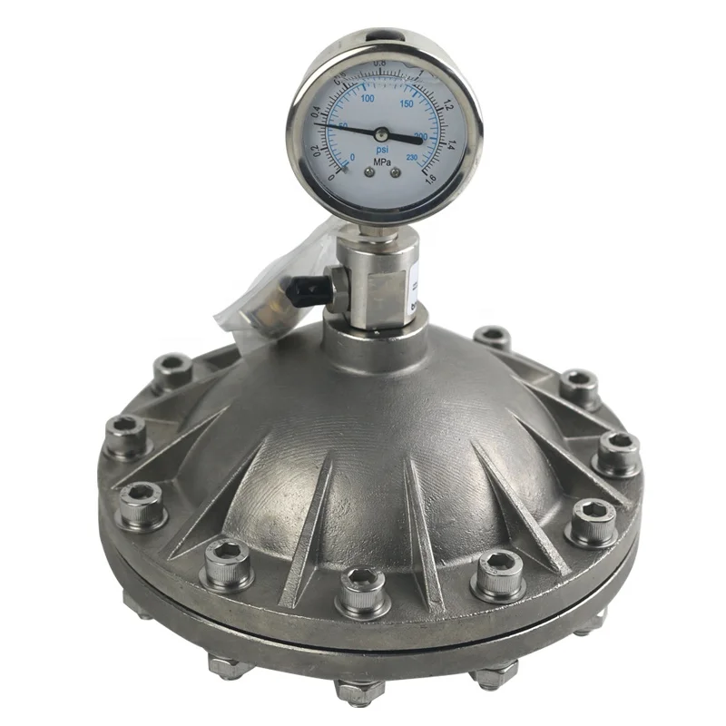 DN25  1.0L SS304 Diaphragm Type Pulsation Damper for dosing pump