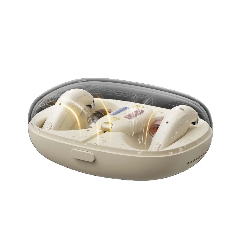 Новейший китайский цифровой слуховой аппарат BTE для глухих прайс-лист перезаряжаемый