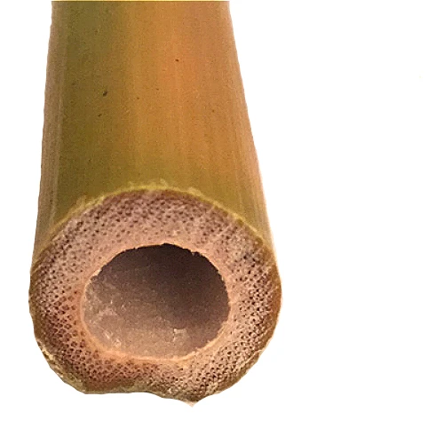 
100% natural raw Bamboo Poles for Gardening and Decoration from China 