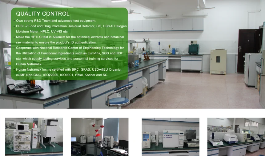 Polysaccharide Plant Extract Chinese Date with Free