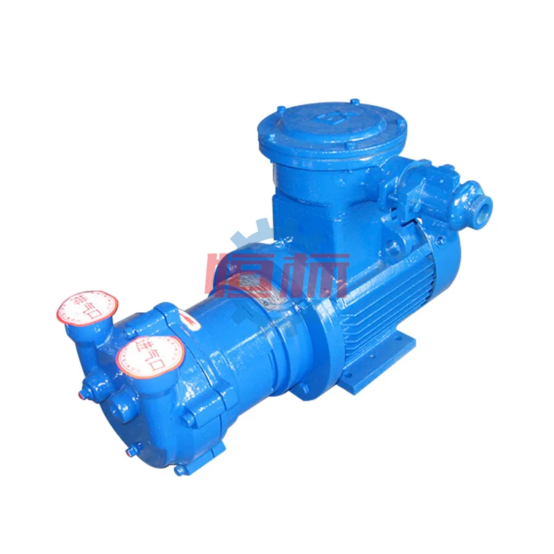 Factory Price 2BV Series Single Stage Liquid Water Ring Vacuum Pump with Stainless Steel Impeller