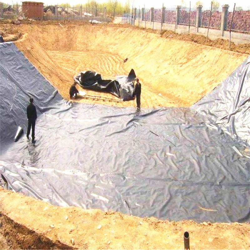 HDPE геомембрана цена в Индии для крытого креветочного сельского хозяйства