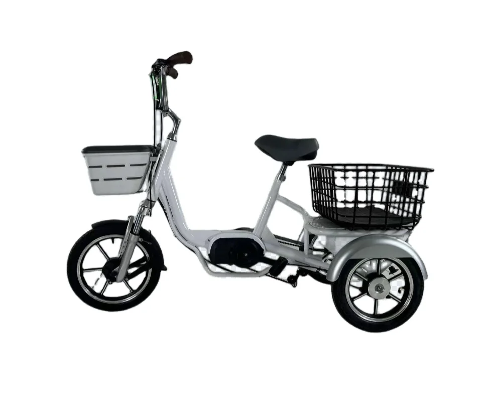 Electric Adult Tricycle Fatbike from China Ebike Max Motorcycle Custom Magnet Body Steel MOTOR Power Bicycle Wheel Brake Cargo