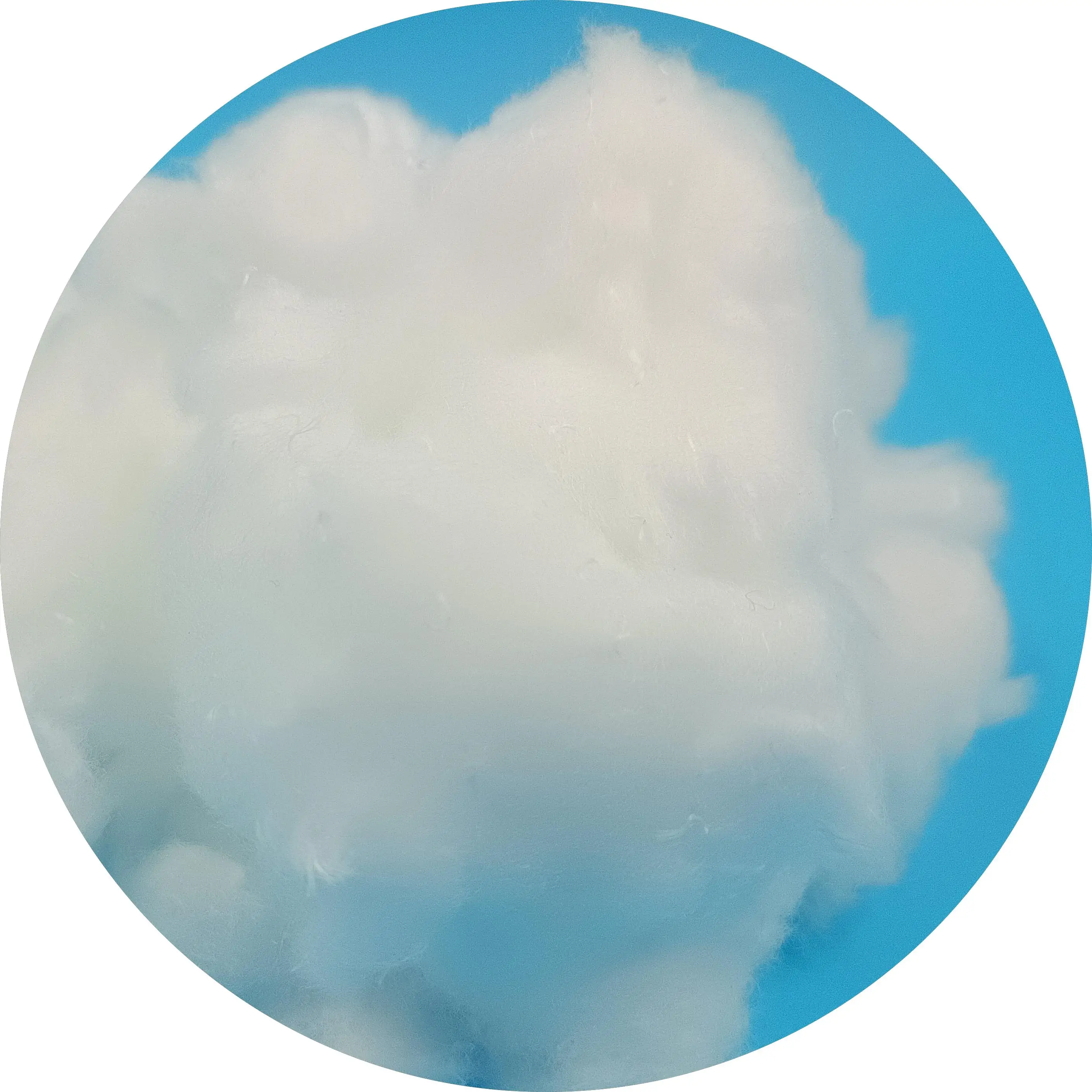 PP/PET Short Cut PSF Fiber for Paper Making