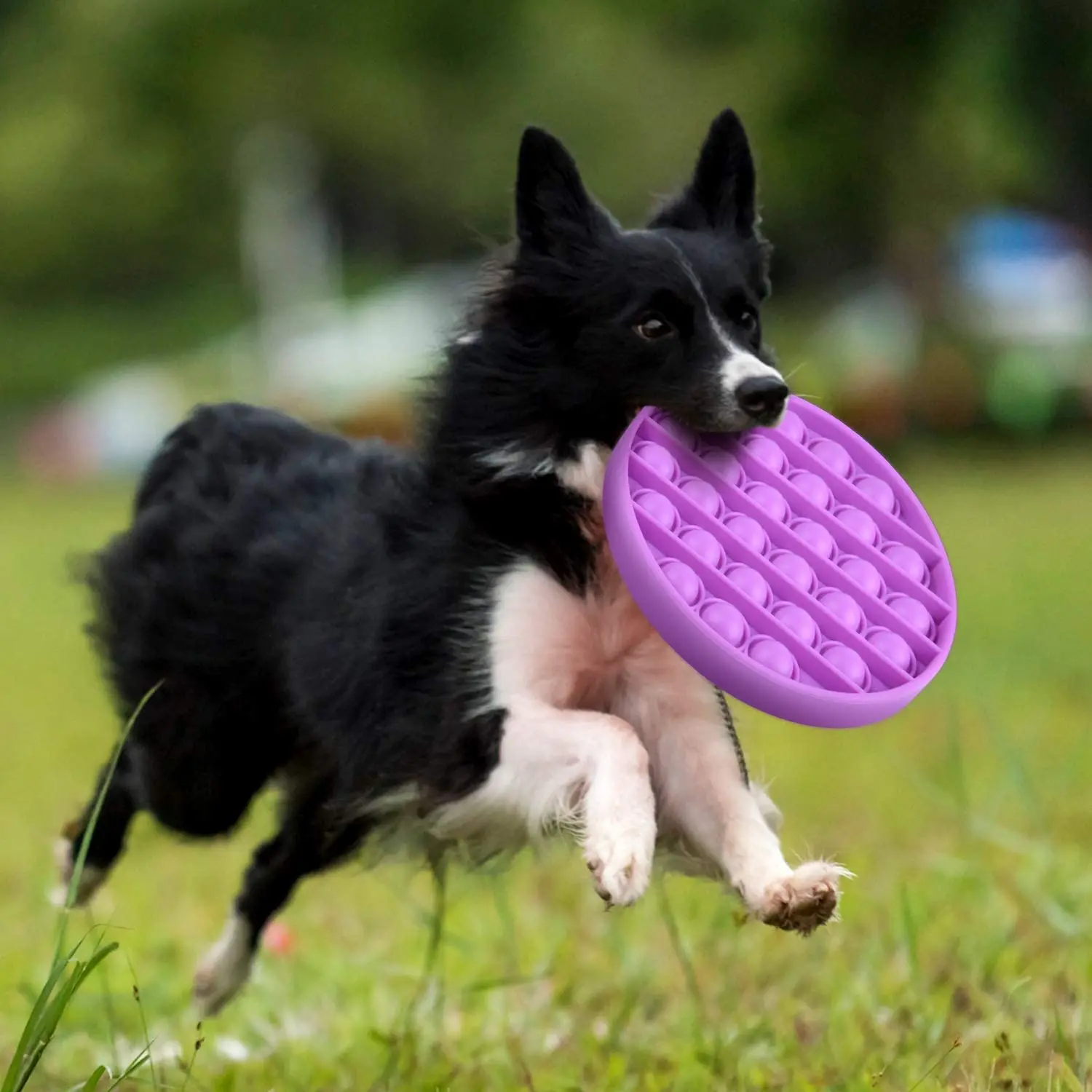 
Glow In The Dark Relief Stress Toys Novelty Gift Push Bubble Fidget Sensory Toy for Children Adults 