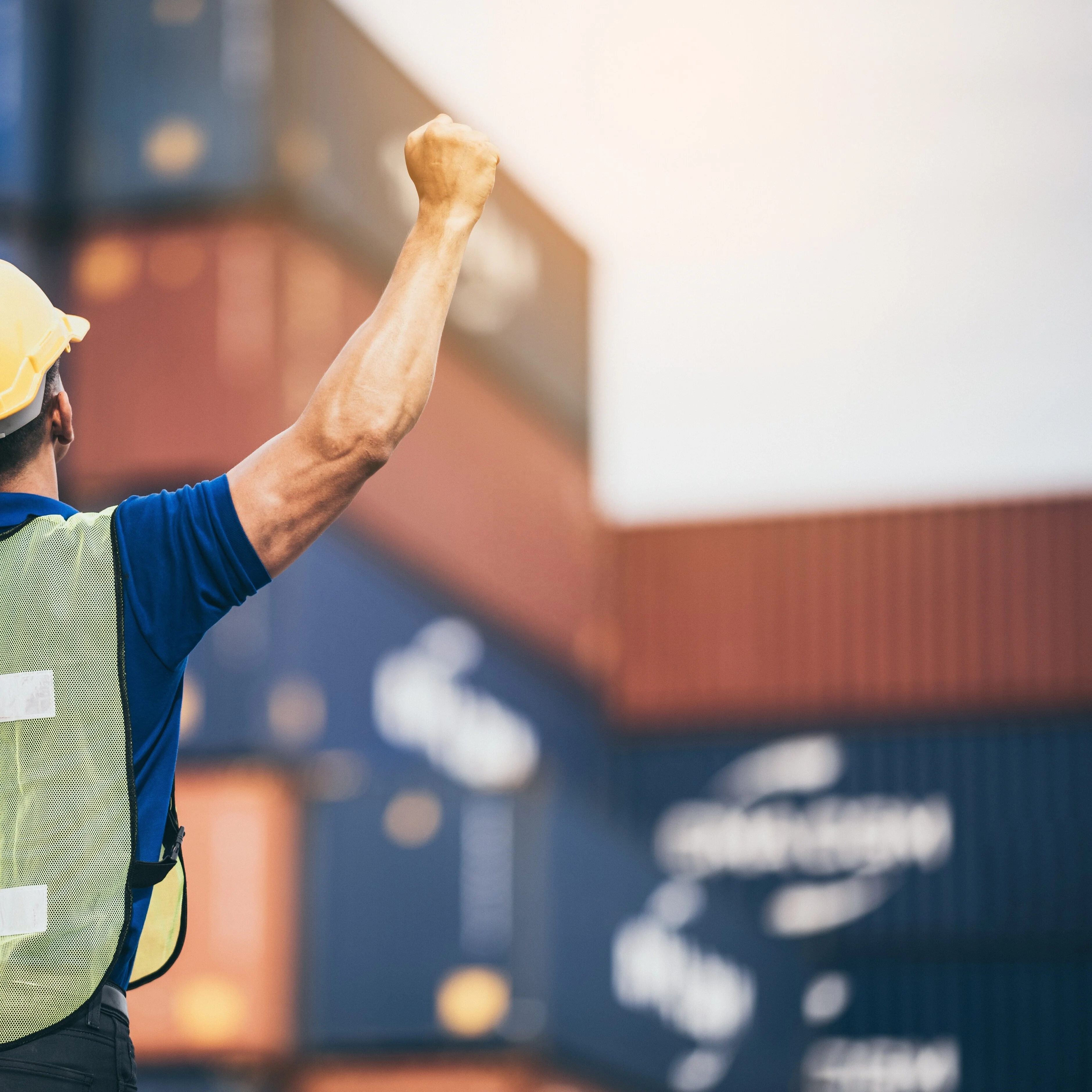 Best fast safer FCL LCL shipping agent from shenzhen to jakarta/singapore door to door shipping forwarder