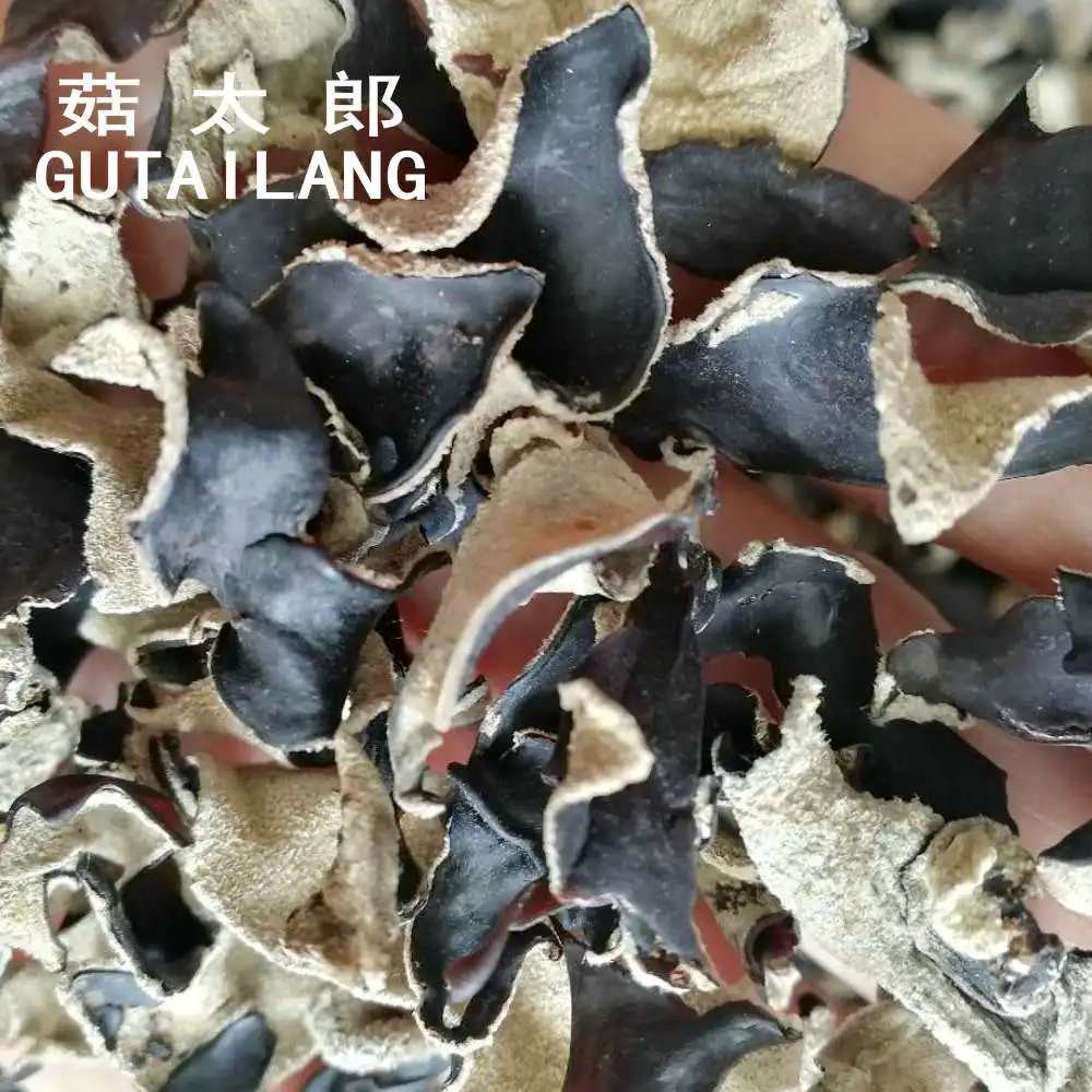Edible dried black tree fungus full cut black fugus mushroom dried sliced black fungus piece black agaric wood fungus block