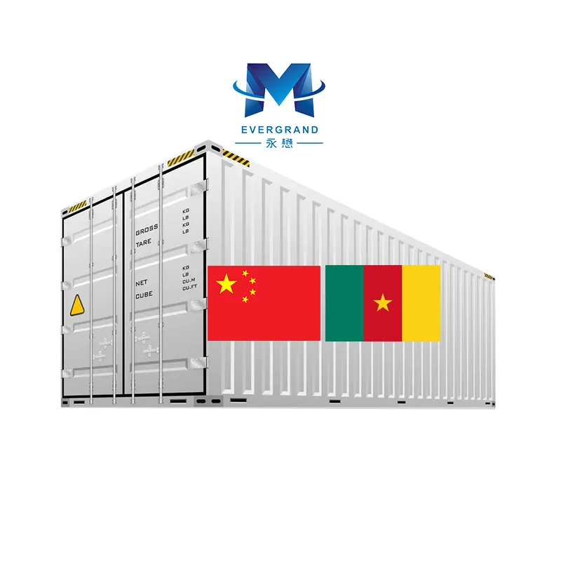 10 Years Sea Transport China to Cameroon Freight Forwarder Shipping Agent Door to Door Sea freight Douala DDP