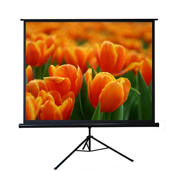Best quality 60-120 Inch Waterproof tripod stand projector screen for outdoor video projector