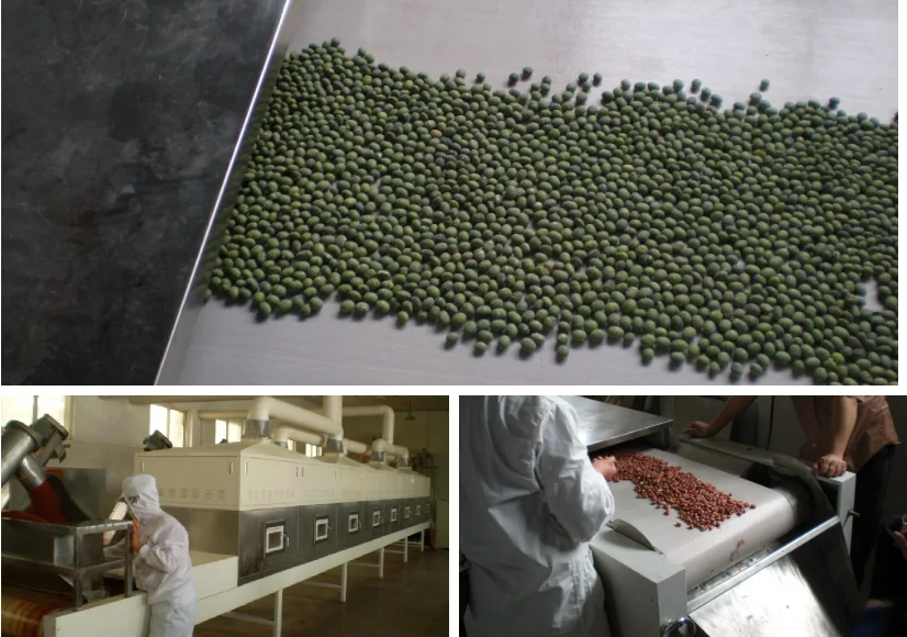 
Licorice Piece Microwave Drying Machine 