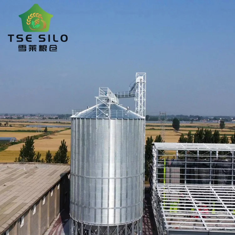 New Design Silo for Feed Mill TCZK 200T 500T 600T 700T Steel Hopper Bottom Soya Silos