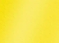 Hot selling in  Bangladesh  BM800 Condenser Microphone for Live Skype YouTuber Karaoke Gaming Recording