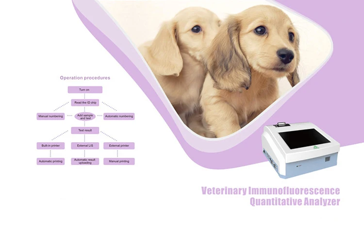 finecare vet (7).jpg