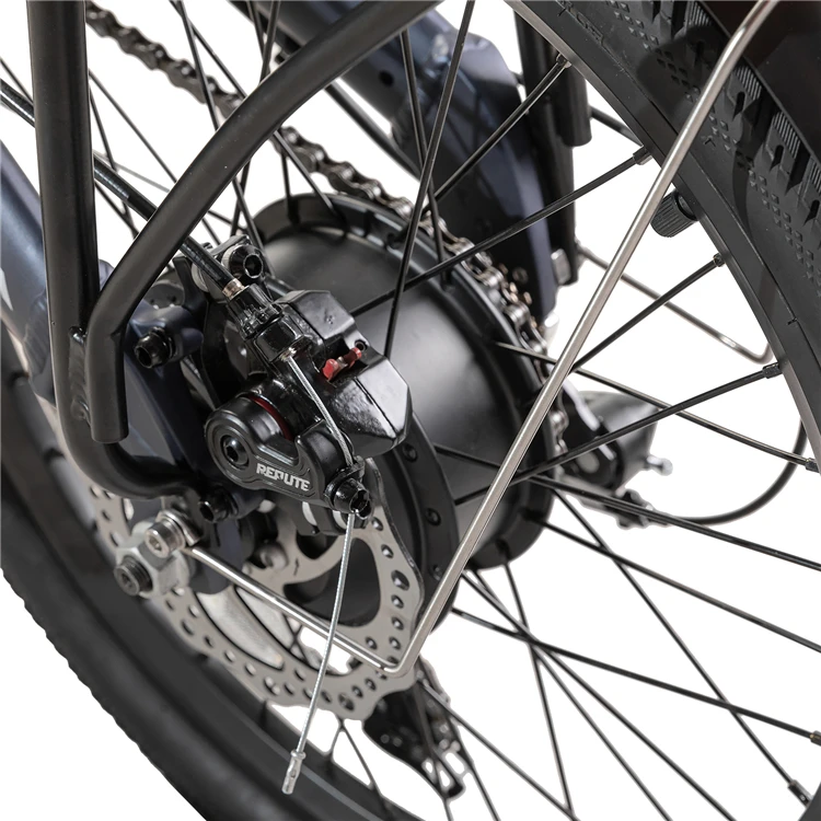 JOYKIE 250w eu standard electric bike 20 inch foldable ebike electric folding bikes for adult