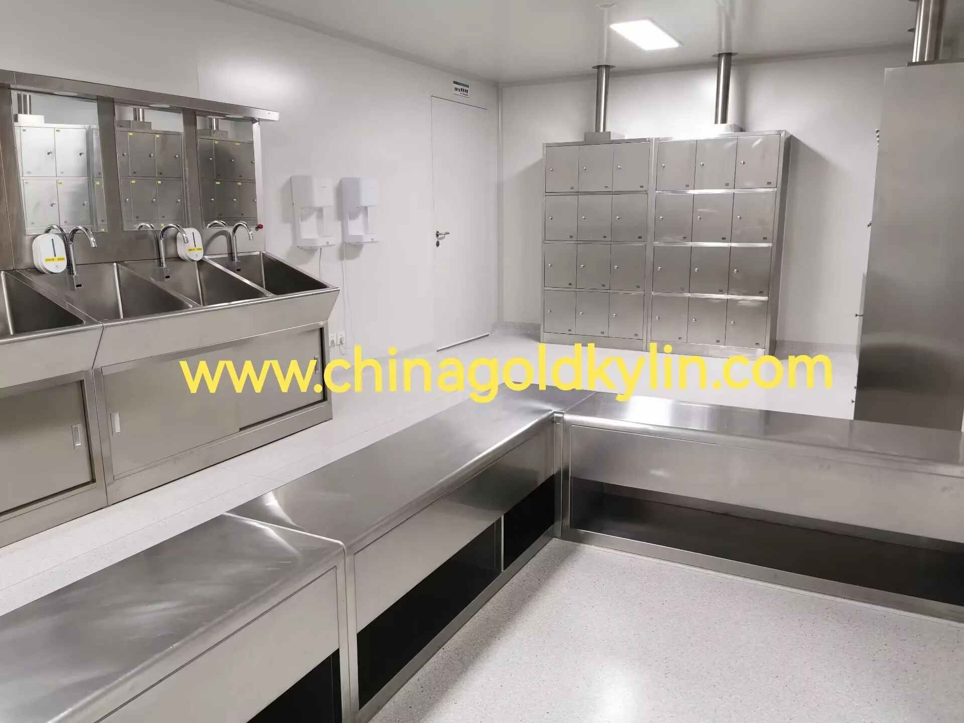 Customized Stainless Steel Ladder for Laboratory Furniture