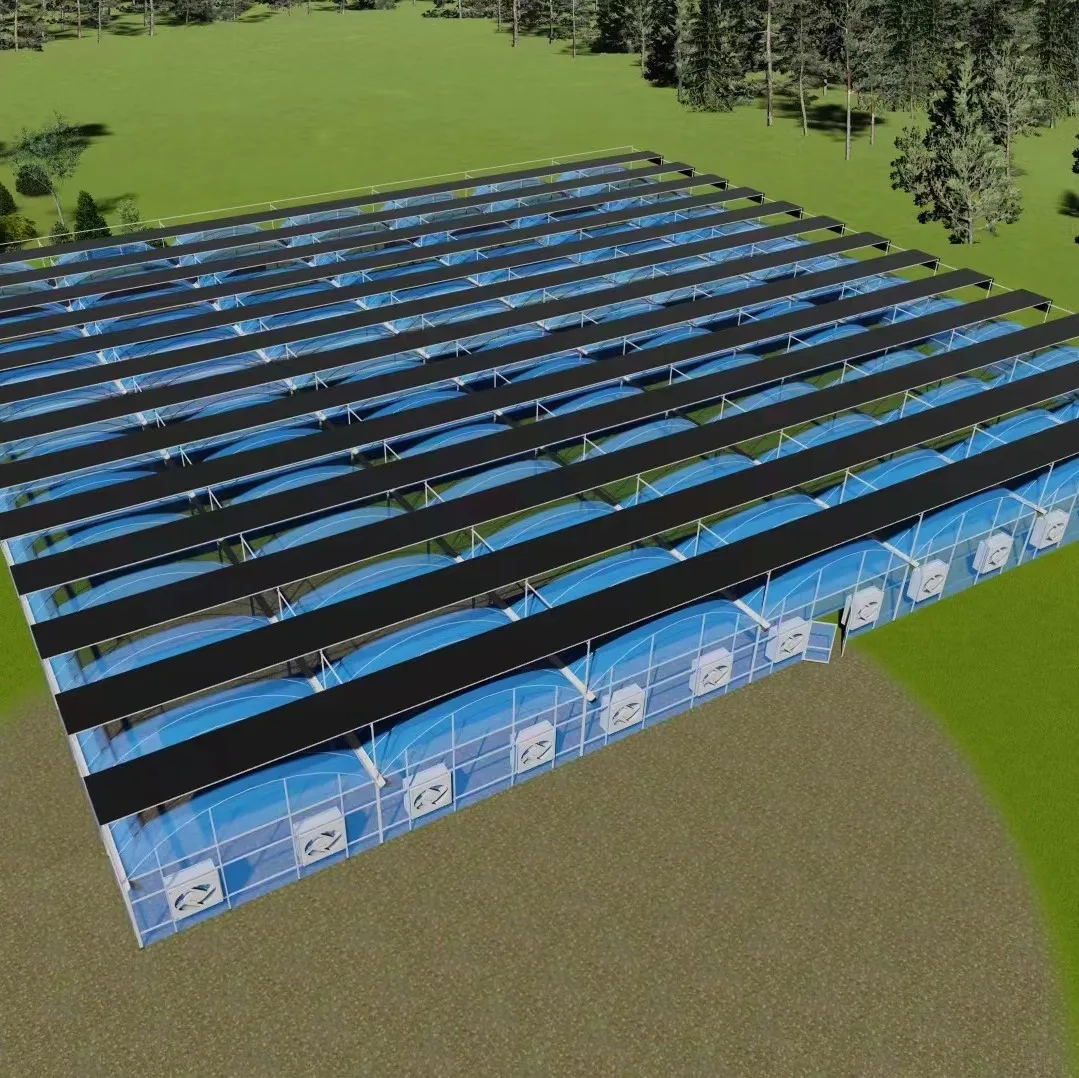 Agriculture Greenhouse Frame Multispan Vegetables Growing Tunnel Multi Span Film Greenhouse