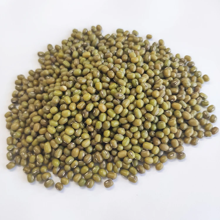 Shanxi зеленые бобы мунг, распродажа семян крахмала