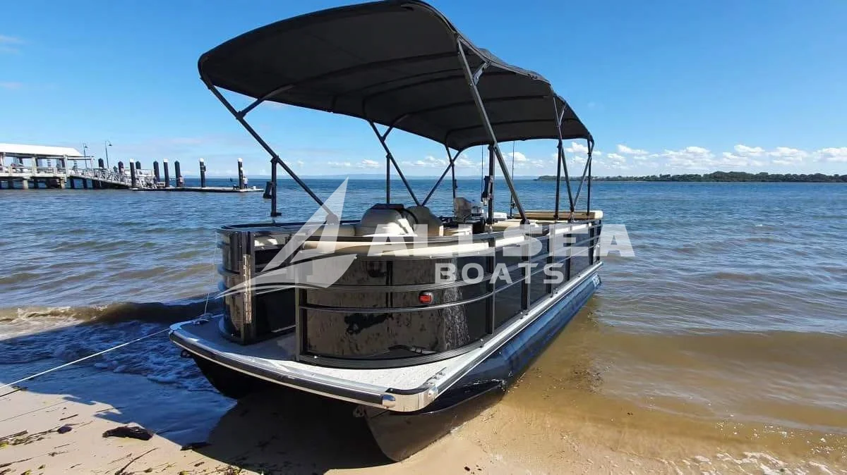 7.6M 25FT Best Quality Luxury Leisure Party Boat  Boat For Sale