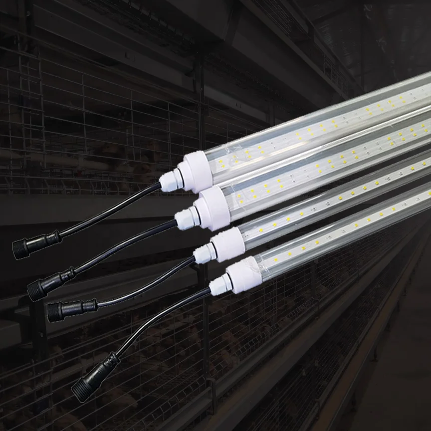 dc48v T8 T12 poultry farm led tube lighting ip67 IP69K led livestock lights for poultry house