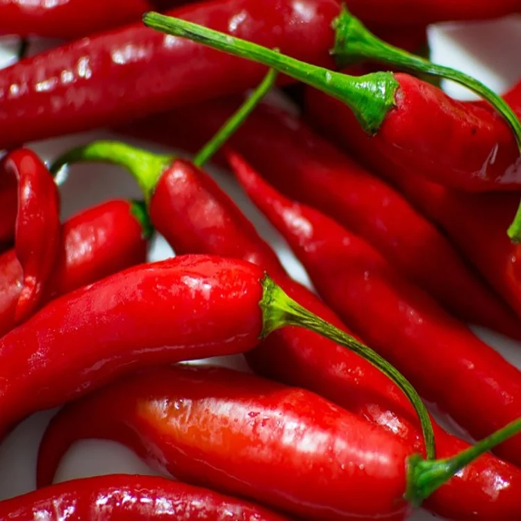 Guochen GC2030 Hot  promotion  fresh frozen  chili/pepper (stem/stemless)