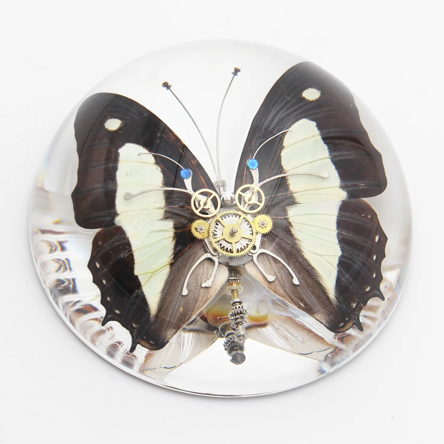 Custom real butterfly in resin punk butterflies gear metal decoration taxidermy crystal paperweight beauty ornaments