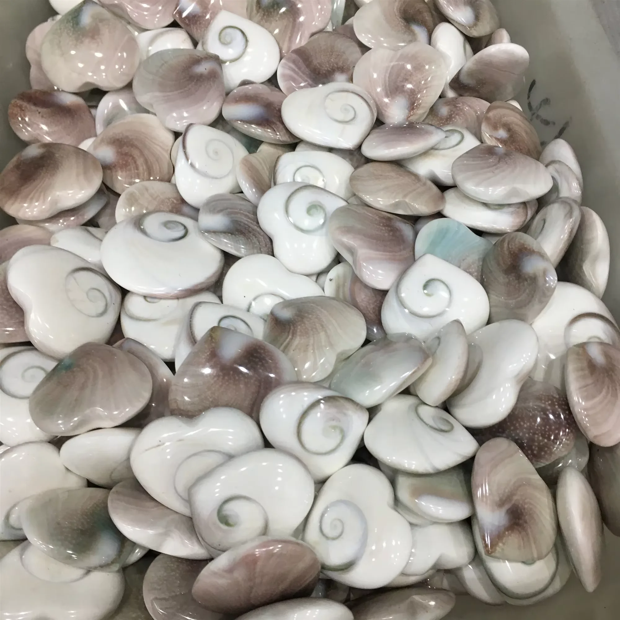 Натуральные целебные кристаллы Морская раковина ископаемый камень в форме сердца Солнечная