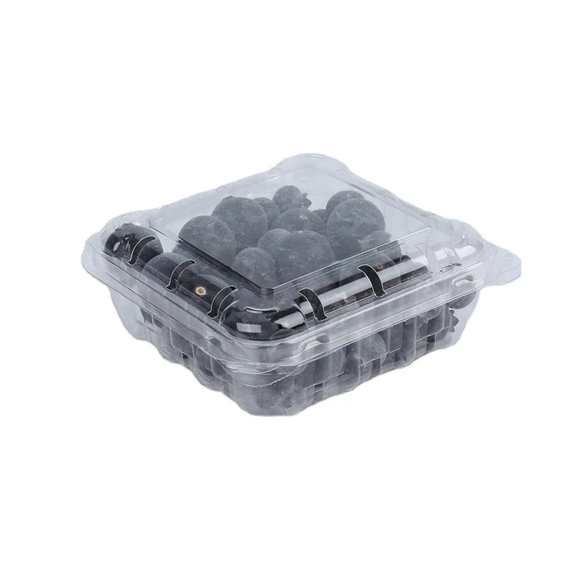 125g wholesale transparent clamshell blueberry clamshell packaging container