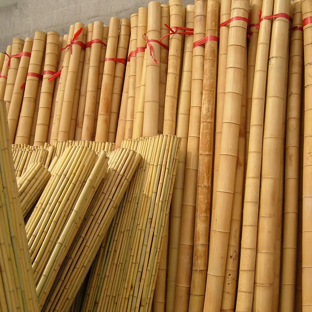 Wholesale dried natural bamboo poles straight durable bamboo pole building grade bamboo