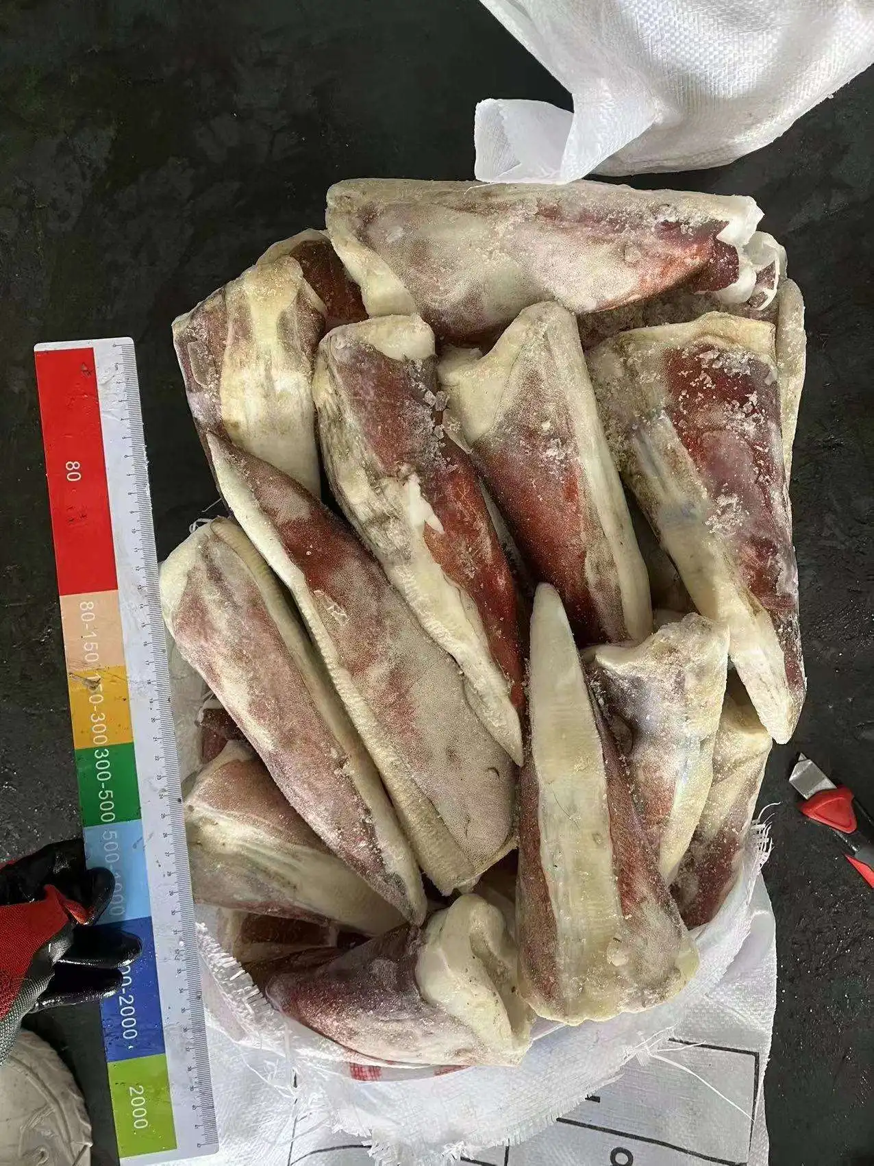 Замороженный гигантский наконечник кальмара