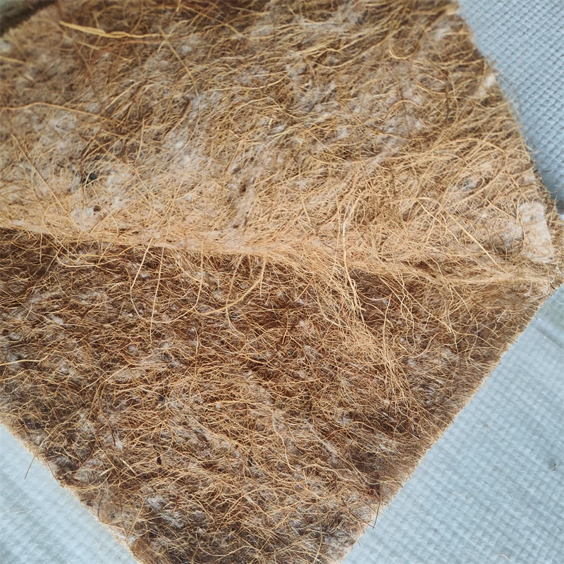 Professional 3E Environmental protection material coconut fiber cloth faux coir mat coconut fiber mattress