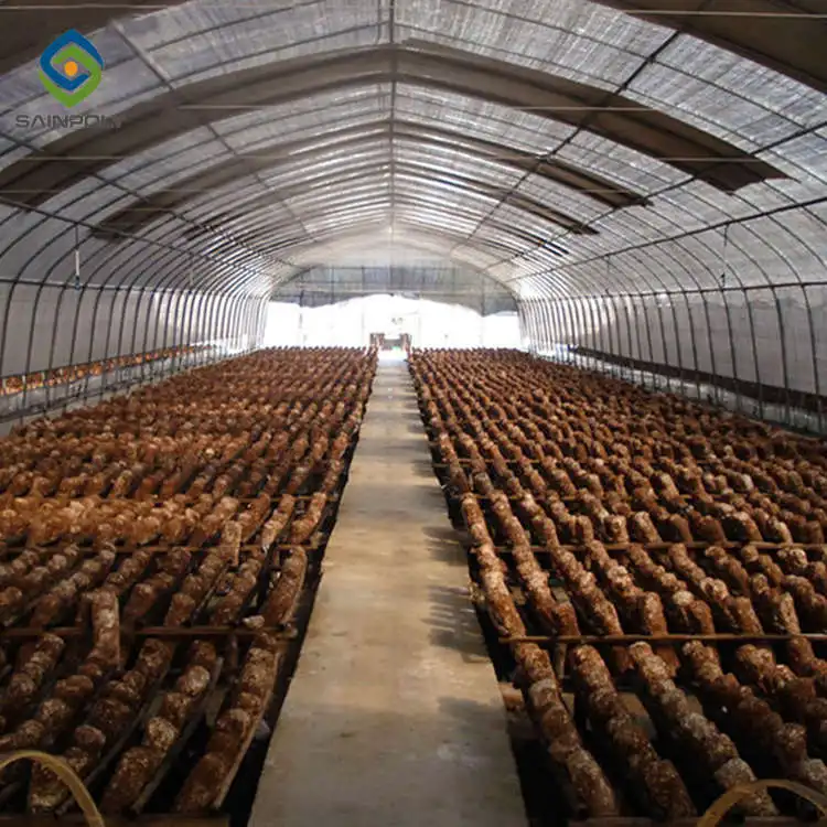 Sainpoly low cost greenhouse black out greenhouses mushroom farm greenhouse