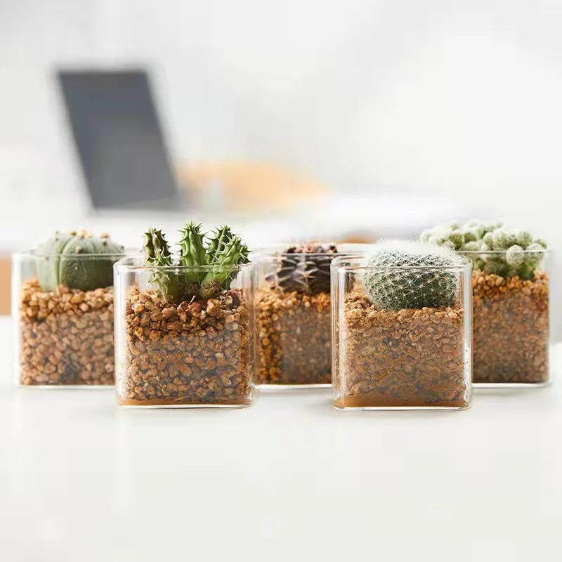 10*10cm Transparent Square Glass Vase Indoor Succulent Green Home Decoration Flower Pots & Planters for Garden