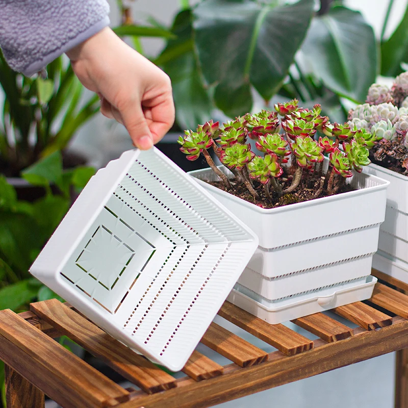 Buy Factory direct selling for square succulent indoor planters for home decoration online