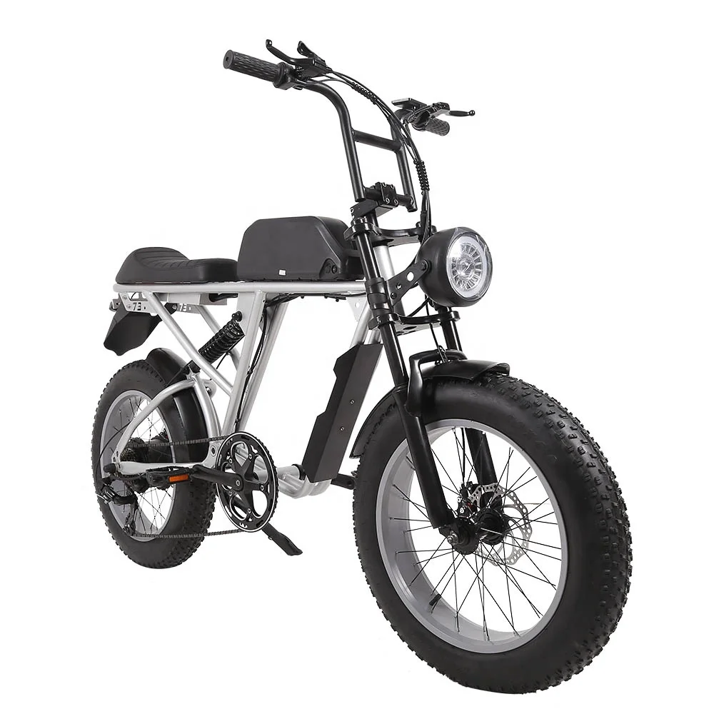aluminum alloy frame 750w Powered Lithium Battery 2 Seat E Bike Electric Bicycle Buy Two Seater Fat Tire Ebike super and 73