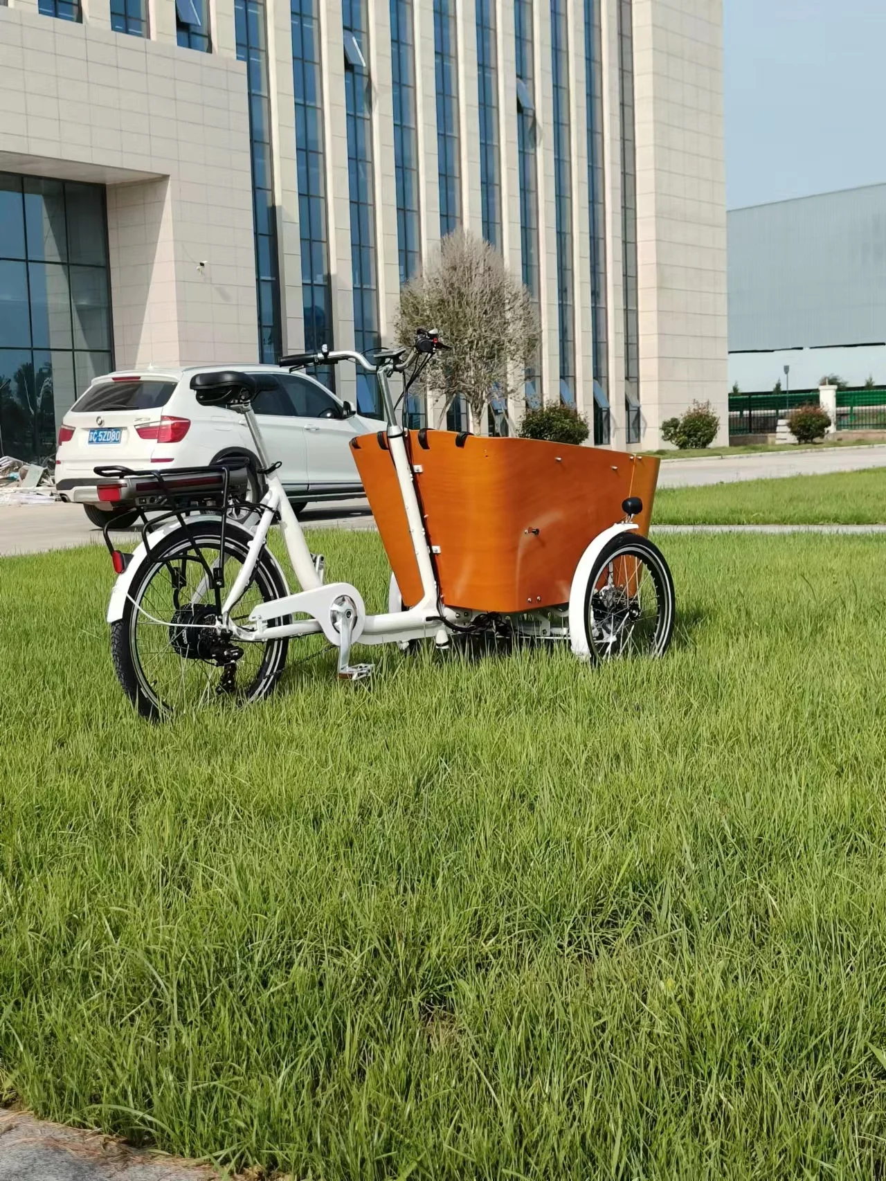 Europe Electric cargo trike CE family bike electric cargo bike three wheel electric cargo tricycle