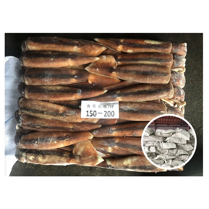 Китайская морская еда, цельный круглый замороженный Аргентина, иллекс кальмар