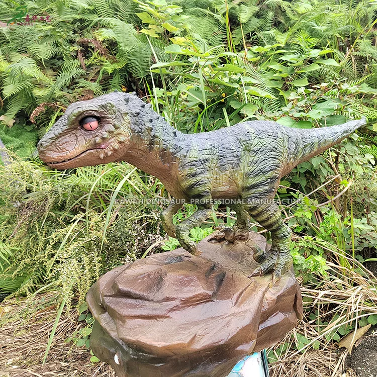 Realistic One Meter Length Velociraptor Dinosaur Animatronic With 3 Movements Customized Kawah Dinosaur