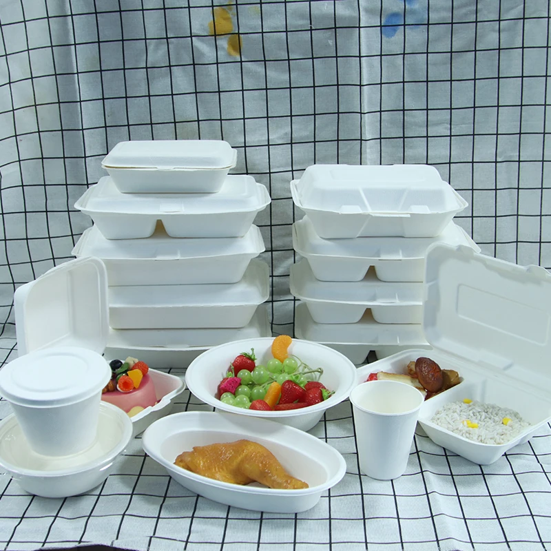 Customized Disposable 100% Biodegradable Bagasse Food Packaging Container