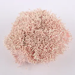 576pcs 1mm Gypsum and Cotton Cord Double Heads Stamen Pistil Cake Decorative Artificial Pearl Flower Stamen