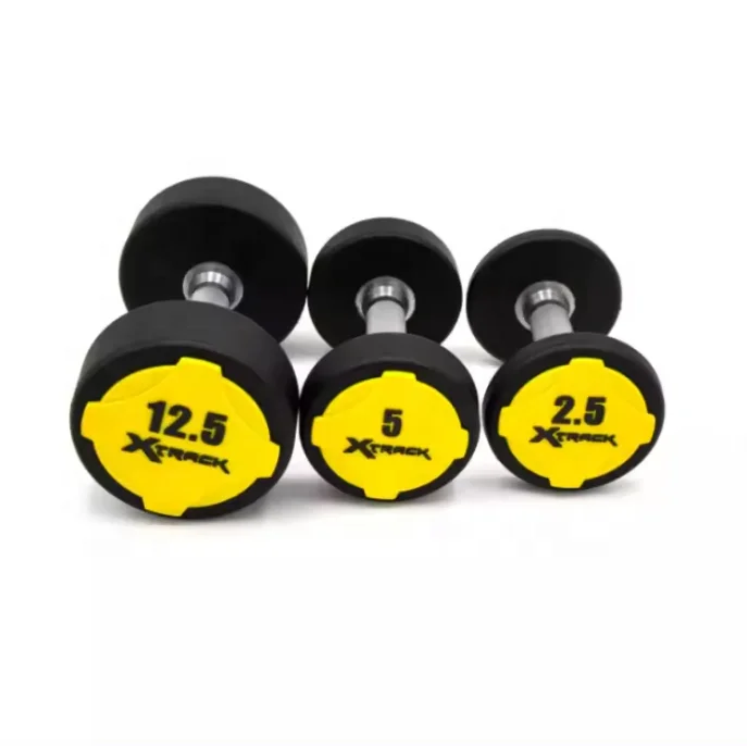 popular high quality free weight round shape CPU dumbbell