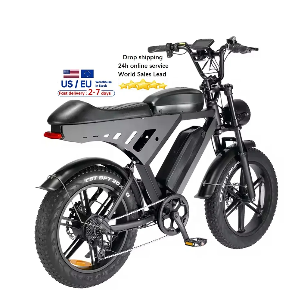 V30 ebike Доставка e велосипед моторизованный винтажный Электрический цена Fatbike с двумя батареями